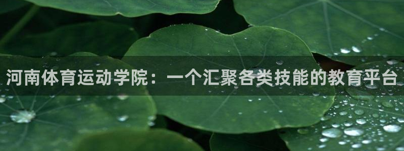 vsport体育官方正版app开户：河南体育运动学院