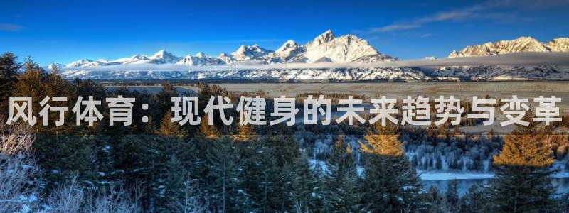 vsport体育官方正版app娱乐平台：风行体育：现