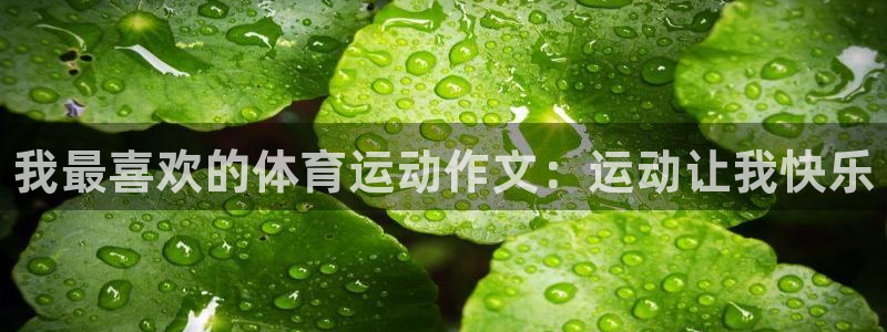 vsport体育官方正版app集团官网网址：我最喜欢