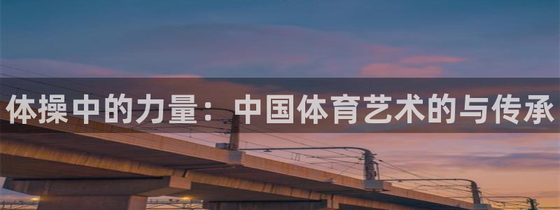 vsport体育官方正版app神州：体操中的力量：中