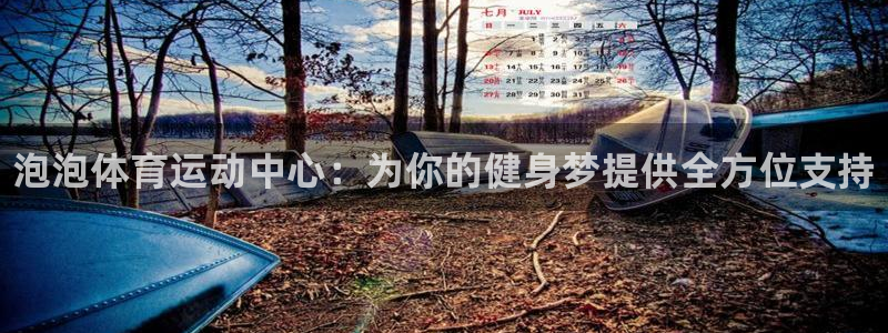 vsport体育官方正版app娱乐是那个系列的台子：