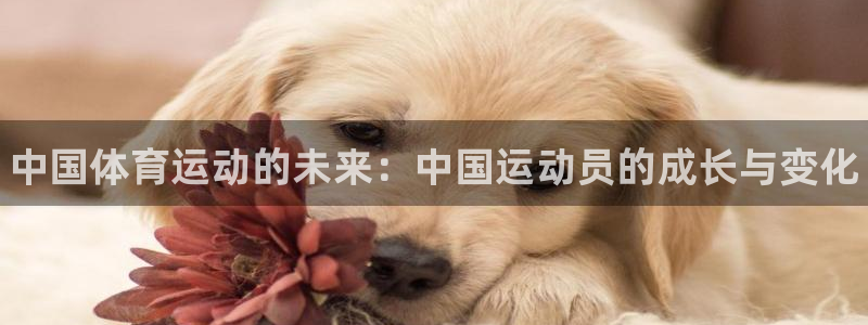 vsport体育官方正版app五金厂：中国体育运动的
