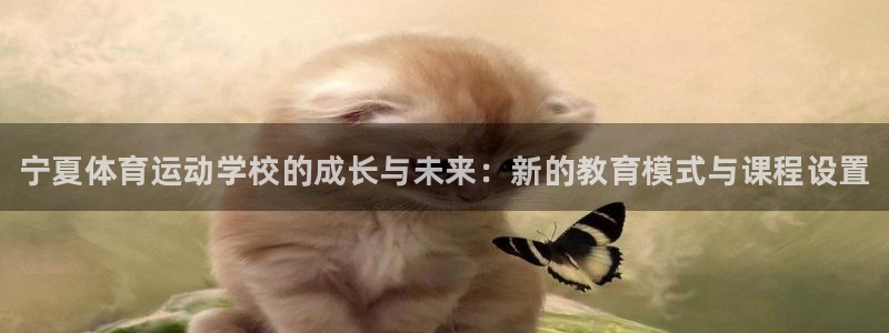 vsport体育官方正版app娱乐代理怎么样：宁夏体