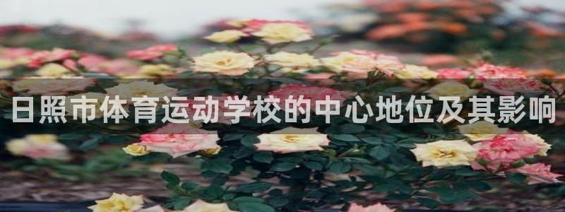 vsport体育官网下载平台是正规平台吗安全吗：日照