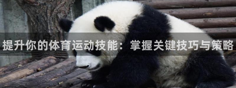 vsport体育官方平台体育：提升你的体育运动技能：掌握关键